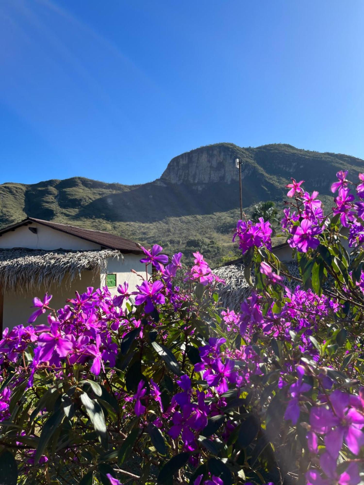 Pousada Rancho Dos Ipes Alto Paraíso de Goiás Δωμάτιο φωτογραφία